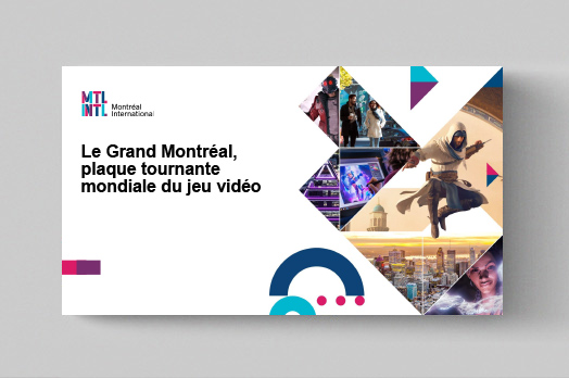 profil-sectoriel-jeuvideo2025-fr