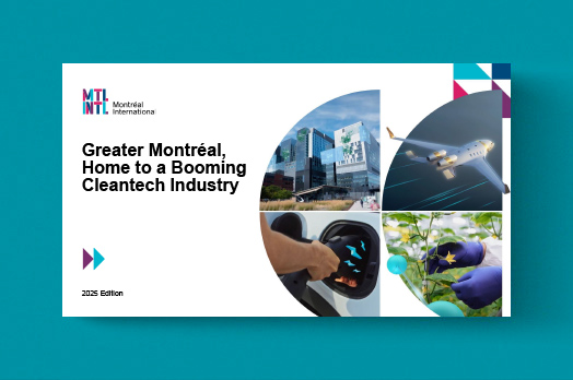 vignette-cleantech-2024-en