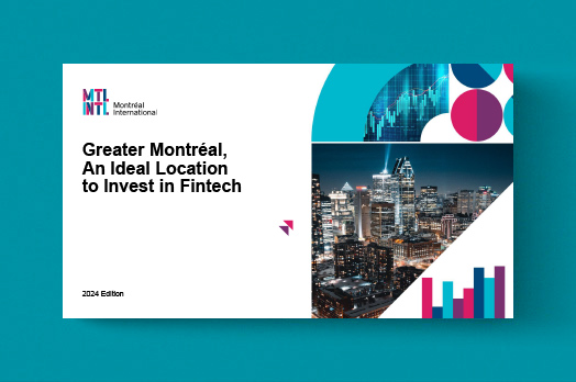 vignette-fintech-2024-en