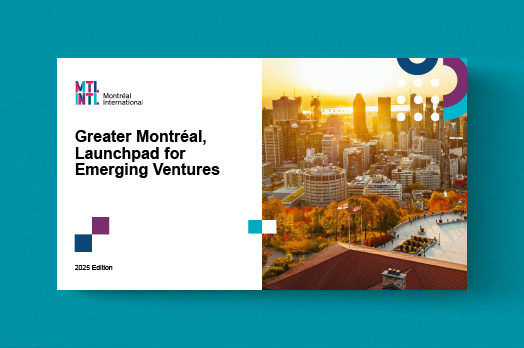 vignette-startup-024-en