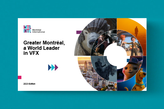 vignette-vfx-2024-en