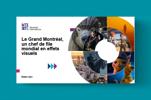 vignette-vfx-2024-fr